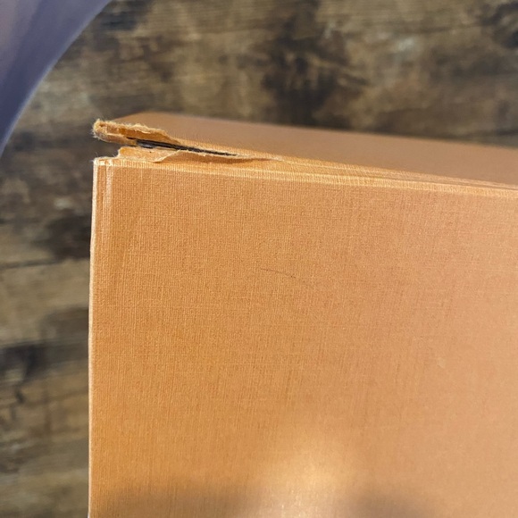 Louis Vuitton Alma PM - Picture 13 of 16